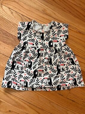 Winter water factory 12 months cotton dress tunic with black orange parrot print